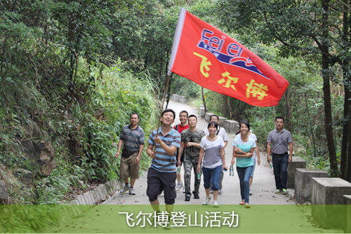 飛爾博登山活動